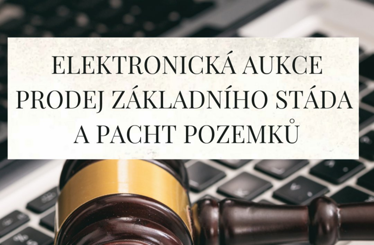 ELEKTRONICKÁ AUKCE TONERY KACPU (3)